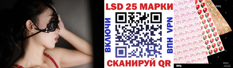 дарк нет какой сайт Вологда Наркотические марки 1500мкг