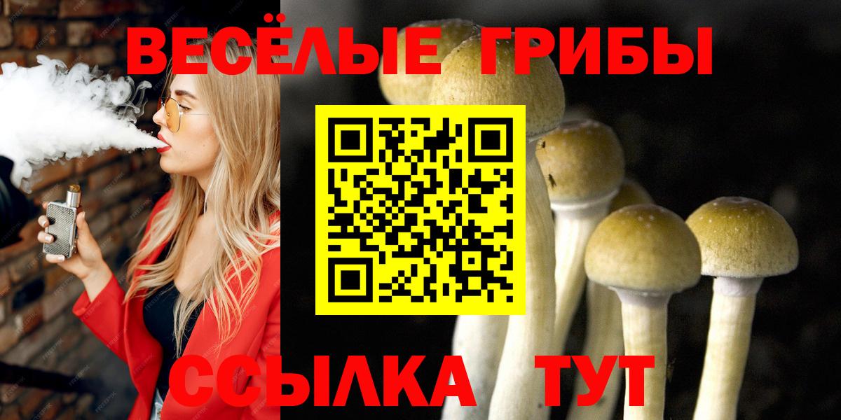 Вологда  Псилоцибиновые грибы Cubensis  Вход с VPN 