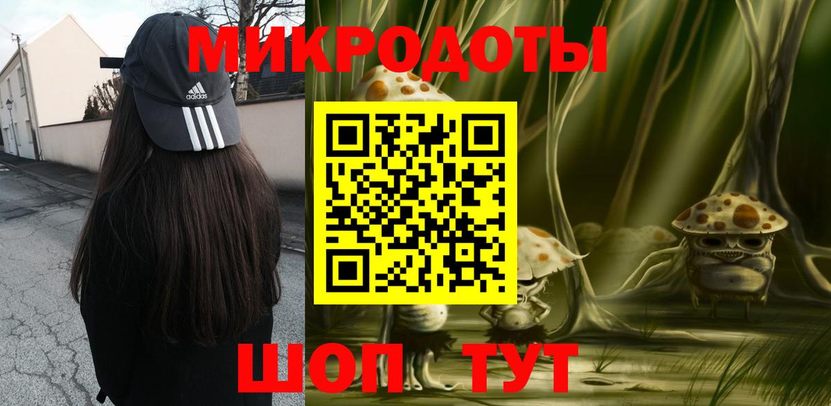 Галлюциногенные грибы Psilocybine cubensis Вологда