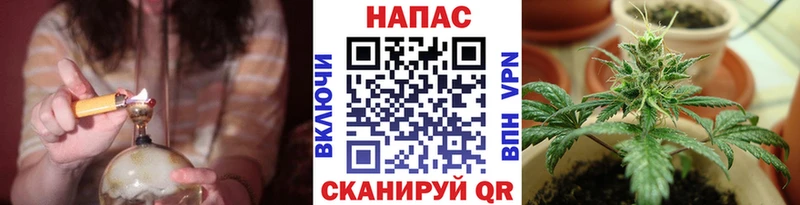 Конопля ГИДРОПОН  даркнет сайт  Вологда 