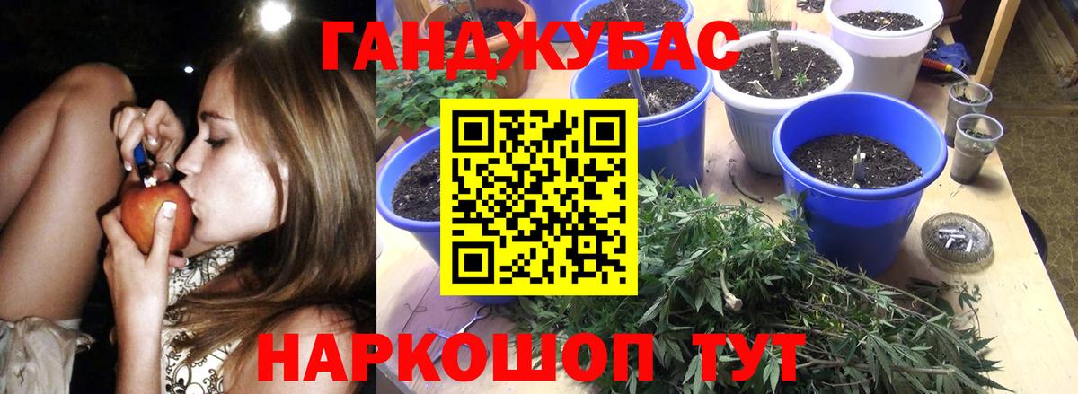 Бошки Шишки MAZAR  МАРИХУАНА SATIVA & INDICA  Бошки марихуана конопля  Вход с VPN  Вологда 